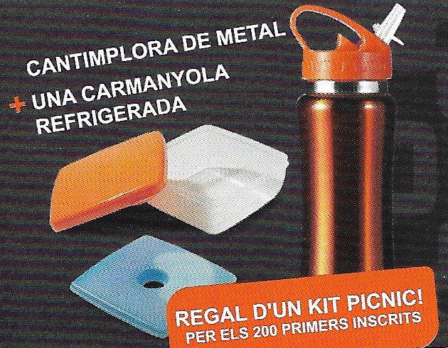 regal picnic kit